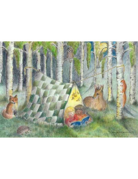 Ansichtkaart lezen in bos Margo Heine