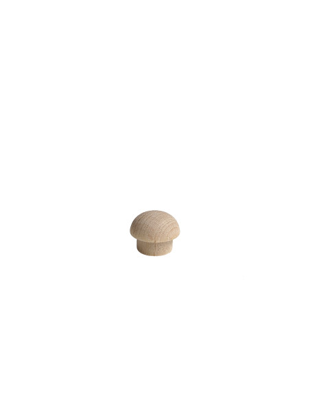 Miniatuur paddestoeltje