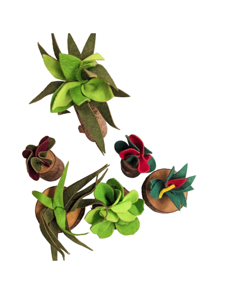 Houtblok plantenset