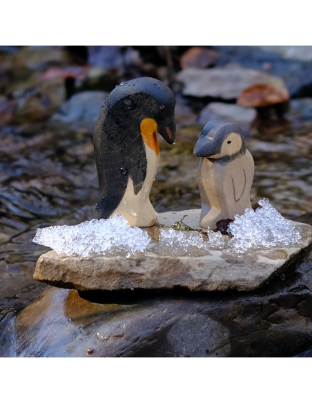 Pinguïn klein Holzwald