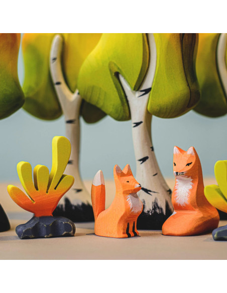 Kleine berkenboom