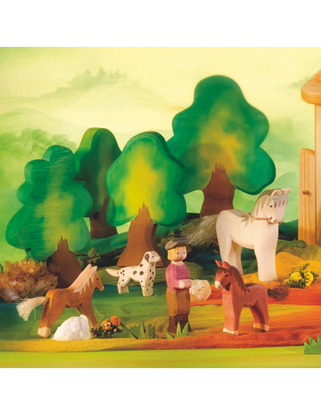 Kleine eikenboom met voet Ostheimer