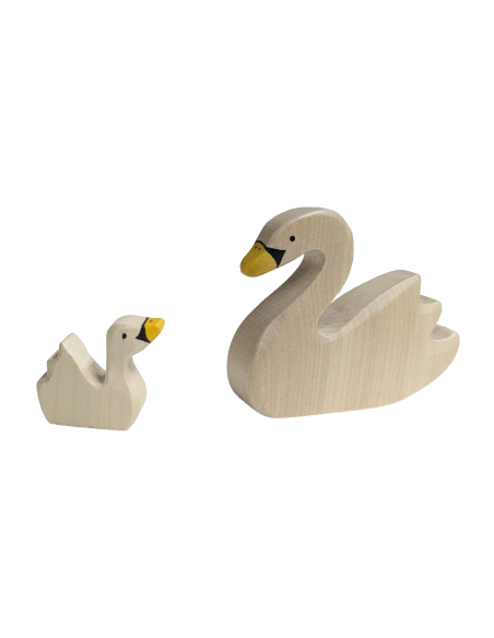 Zwaan zwemmend