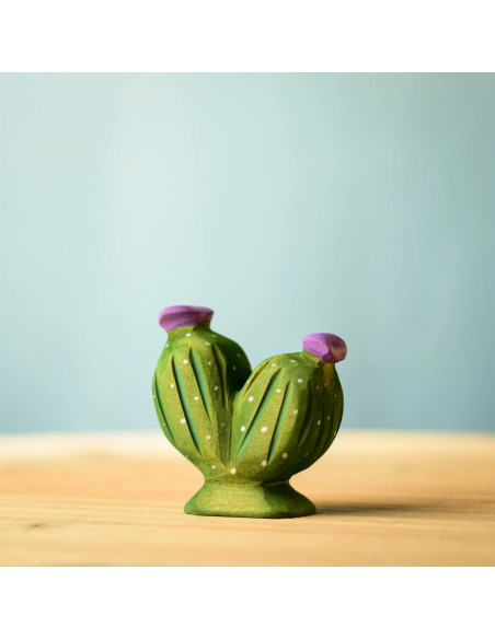 Houten cactus set