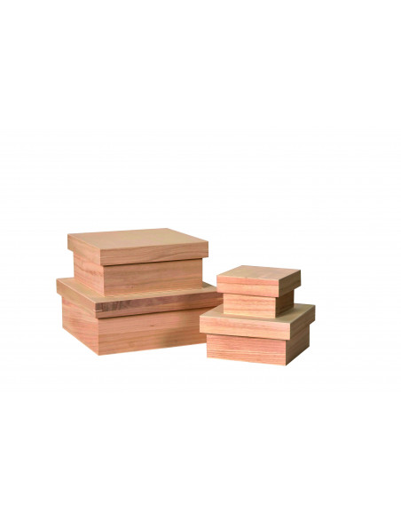 set van 4 houten dozen