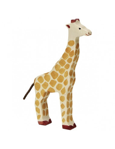 Giraffe staand