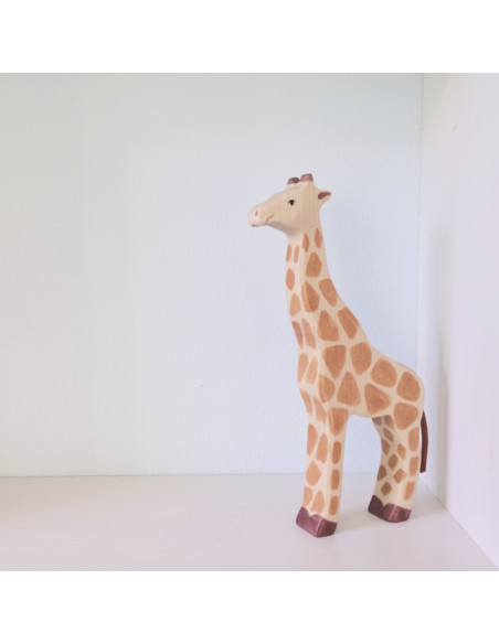 Giraffe staand