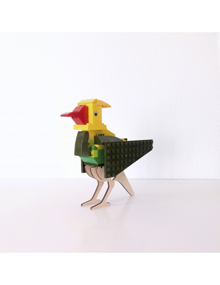 Brikkon vogel