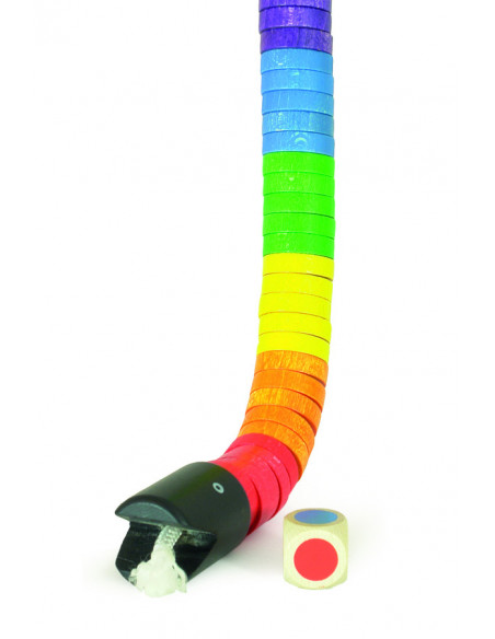 Regenboog slang