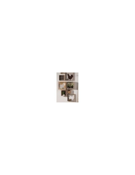 set van 4 houten dozen