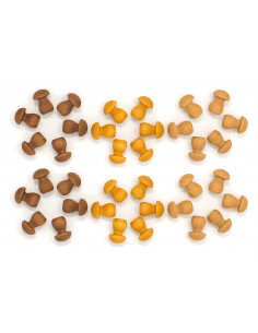 Bruine paddestoelen