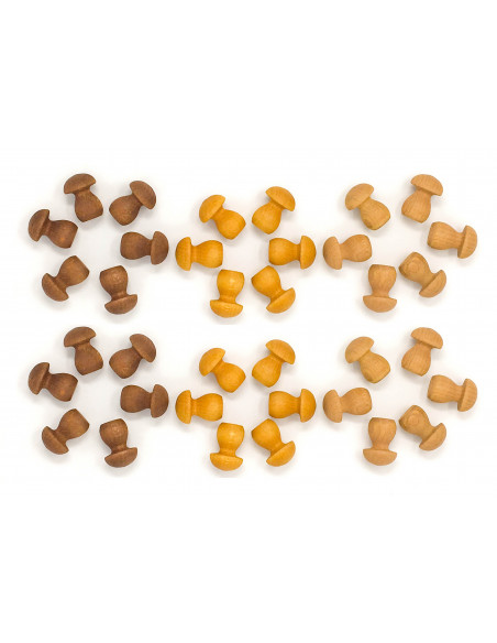Bruine paddestoelen