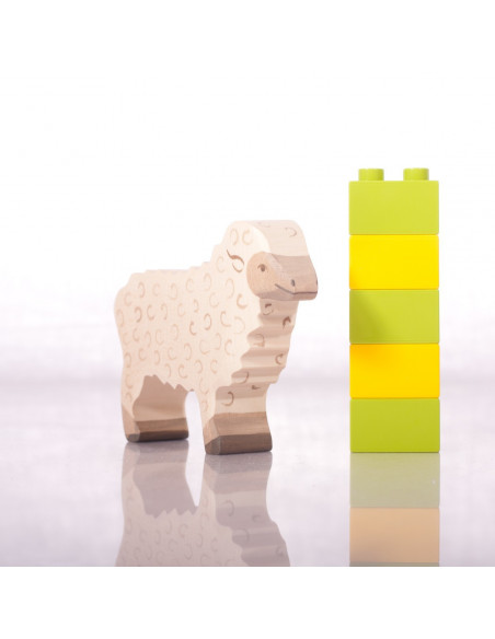 Wit schaap