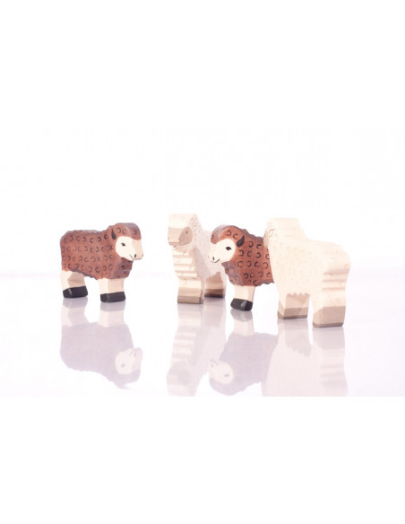 Wit schaap