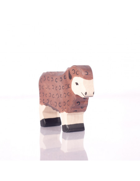Zwart schaap