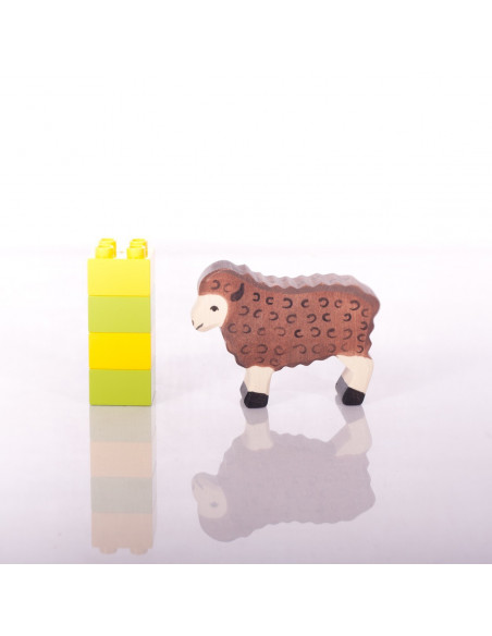 Zwart schaap